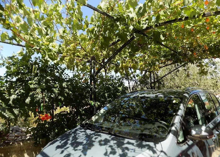 A 2 - Modern With Garden 80m From شقة Vinišće