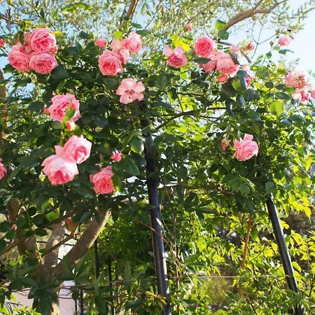 A2 - Modern With Garden 80m From * Vinisce