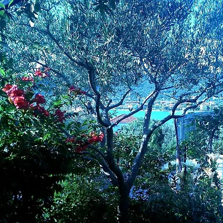 Apartment A2 - Modern With Garden 80m From *