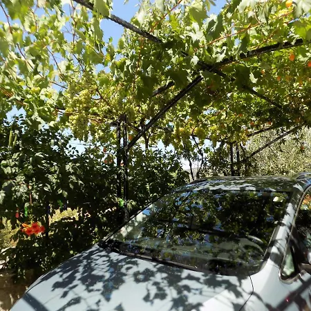 A2 - Modern With Garden 80m From Apartment Vinisce